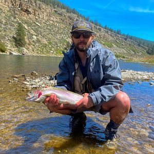 Meet your Posher, Grant